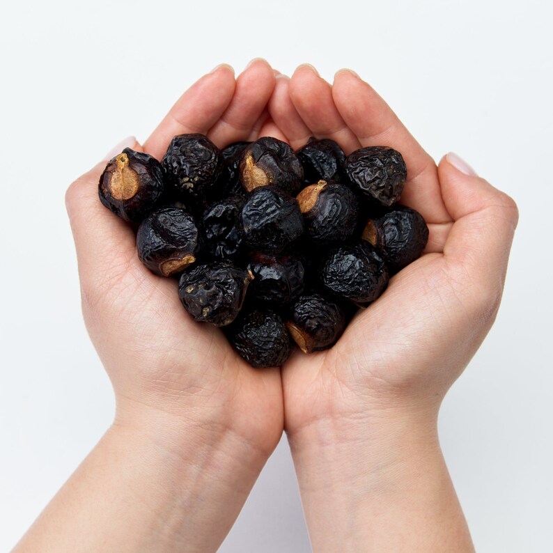 Plantbased Dish Soap 100 Chemical Free Organic Soapberry Dish Soap