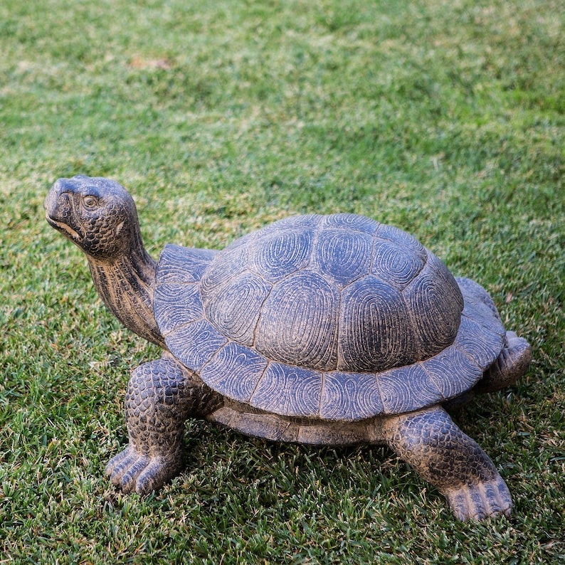 Realistic fiber cement turtle statue available in two sizes, small 14 inch and huge 34 inch life size. Handcrafted with intricate details, the design resembles a sea turtle or tortoise with a textured shell and natural stone-like finish. Perfect for outdoor display in gardens, patios, entryways, or zen spaces, this rustic sculpture is durable, weather resistant, and eco-friendly. A striking yard art figurine and unique gift for turtle lovers and garden enthusiasts.