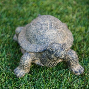 Realistic fiber cement turtle statue available in two sizes, small 14 inch and huge 34 inch life size. Handcrafted with intricate details, the design resembles a sea turtle or tortoise with a textured shell and natural stone-like finish. Perfect for outdoor display in gardens, patios, entryways, or zen spaces, this rustic sculpture is durable, weather resistant, and eco-friendly. A striking yard art figurine and unique gift for turtle lovers and garden enthusiasts.