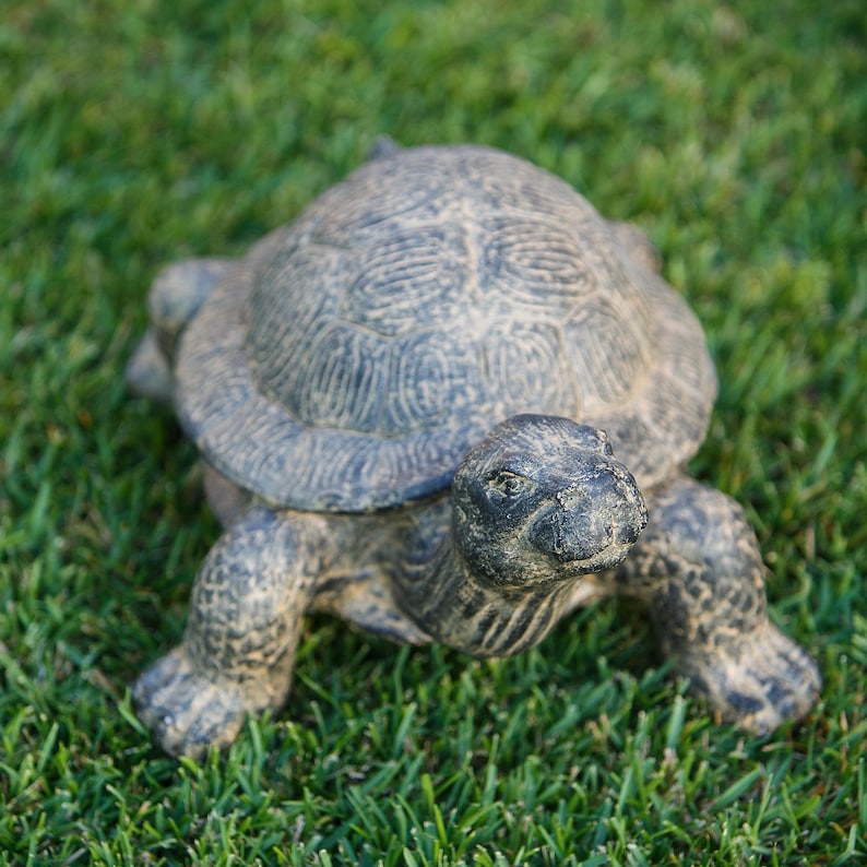 Realistic fiber cement turtle statue available in two sizes, small 14 inch and huge 34 inch life size. Handcrafted with intricate details, the design resembles a sea turtle or tortoise with a textured shell and natural stone-like finish. Perfect for outdoor display in gardens, patios, entryways, or zen spaces, this rustic sculpture is durable, weather resistant, and eco-friendly. A striking yard art figurine and unique gift for turtle lovers and garden enthusiasts.