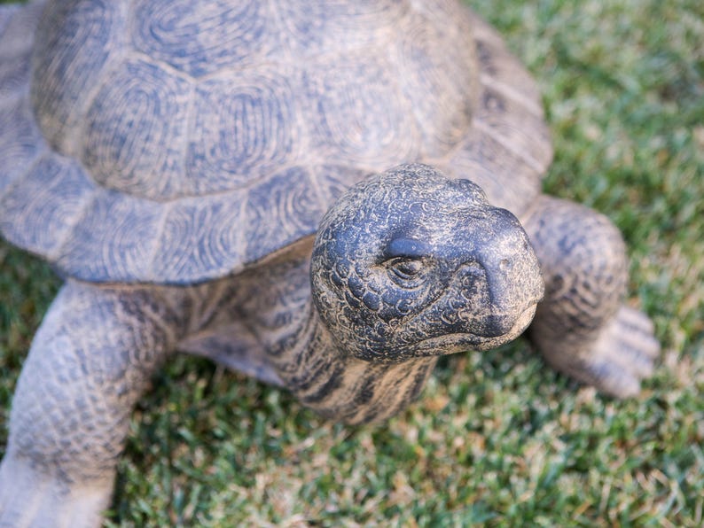 Realistic fiber cement turtle statue available in two sizes, small 14 inch and huge 34 inch life size. Handcrafted with intricate details, the design resembles a sea turtle or tortoise with a textured shell and natural stone-like finish. Perfect for outdoor display in gardens, patios, entryways, or zen spaces, this rustic sculpture is durable, weather resistant, and eco-friendly. A striking yard art figurine and unique gift for turtle lovers and garden enthusiasts.