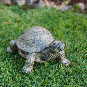 Realistic fiber cement turtle statue available in two sizes, small 14 inch and huge 34 inch life size. Handcrafted with intricate details, the design resembles a sea turtle or tortoise with a textured shell and natural stone-like finish. Perfect for outdoor display in gardens, patios, entryways, or zen spaces, this rustic sculpture is durable, weather resistant, and eco-friendly. A striking yard art figurine and unique gift for turtle lovers and garden enthusiasts.