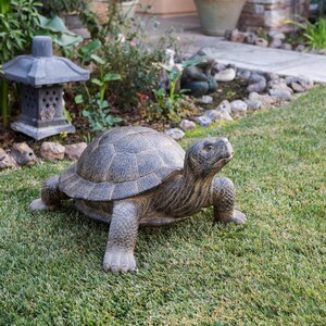 Realistic fiber cement turtle statue available in two sizes, small 14 inch and huge 34 inch life size. Handcrafted with intricate details, the design resembles a sea turtle or tortoise with a textured shell and natural stone-like finish. Perfect for outdoor display in gardens, patios, entryways, or zen spaces, this rustic sculpture is durable, weather resistant, and eco-friendly. A striking yard art figurine and unique gift for turtle lovers and garden enthusiasts.
