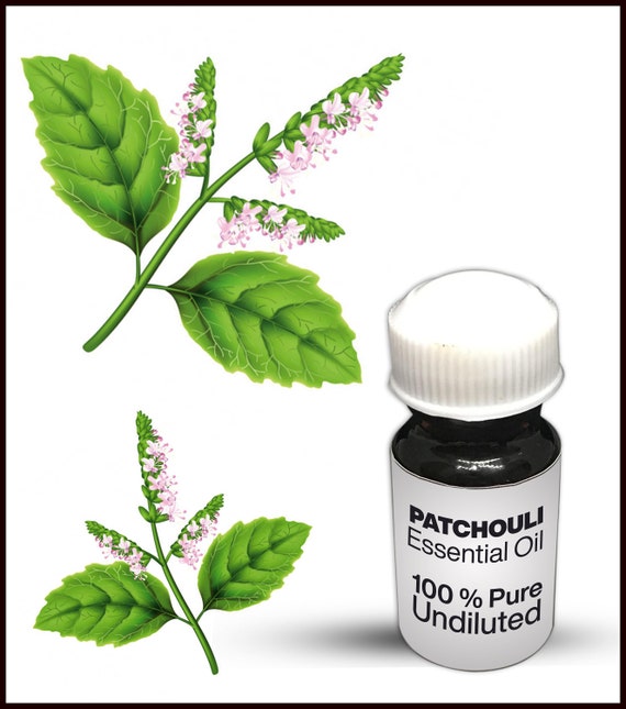 High quality patchouli oil hot sale