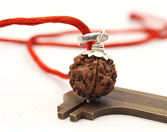 4 Mukhi Nepal Rudraksha Four Face In Pure Silver Pendant Lab Certified 100% Original Geniune Bead All Size