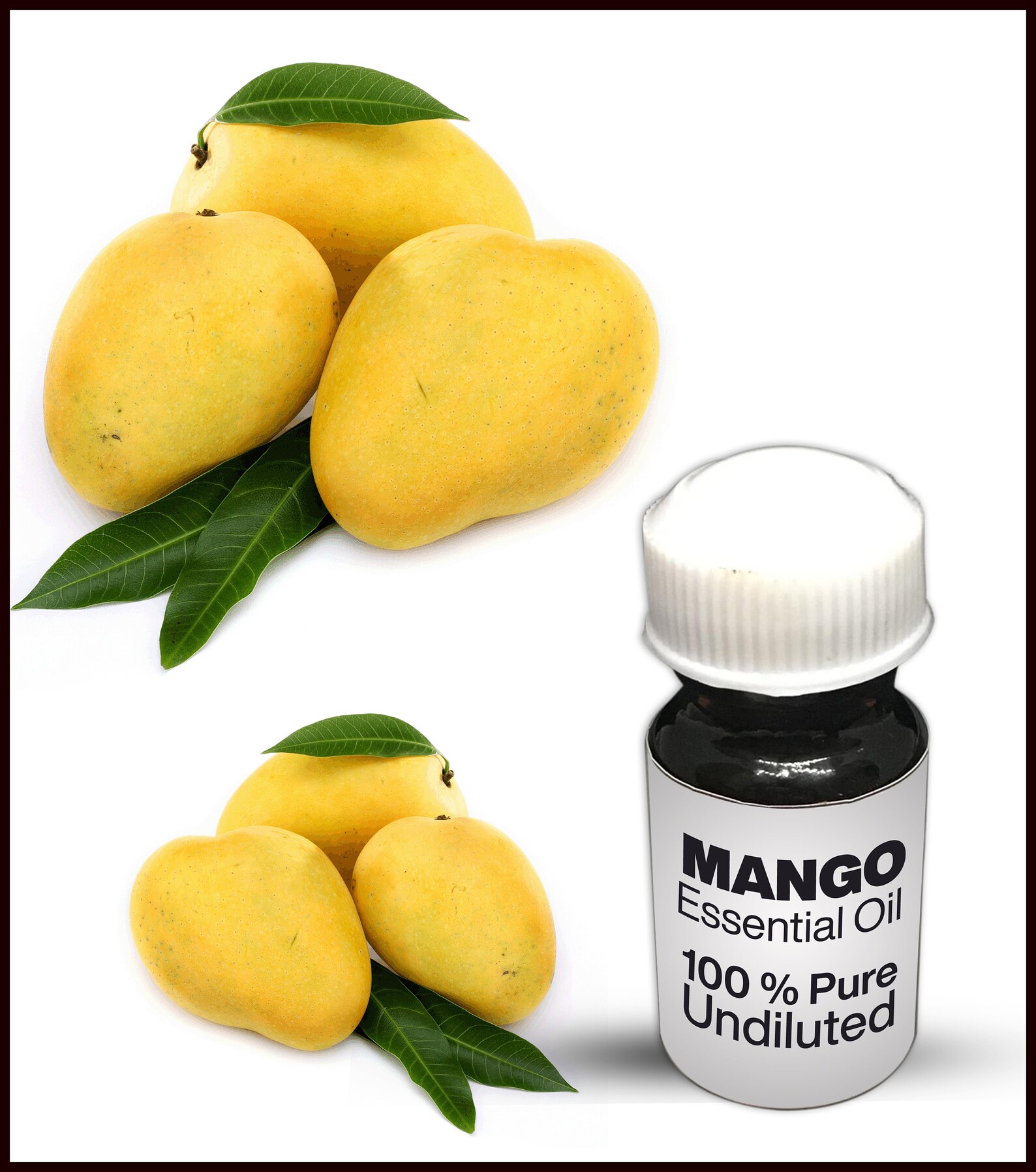 Aceite de Mango Natural / 100 Mango Puro Aceite Esencial Premium de