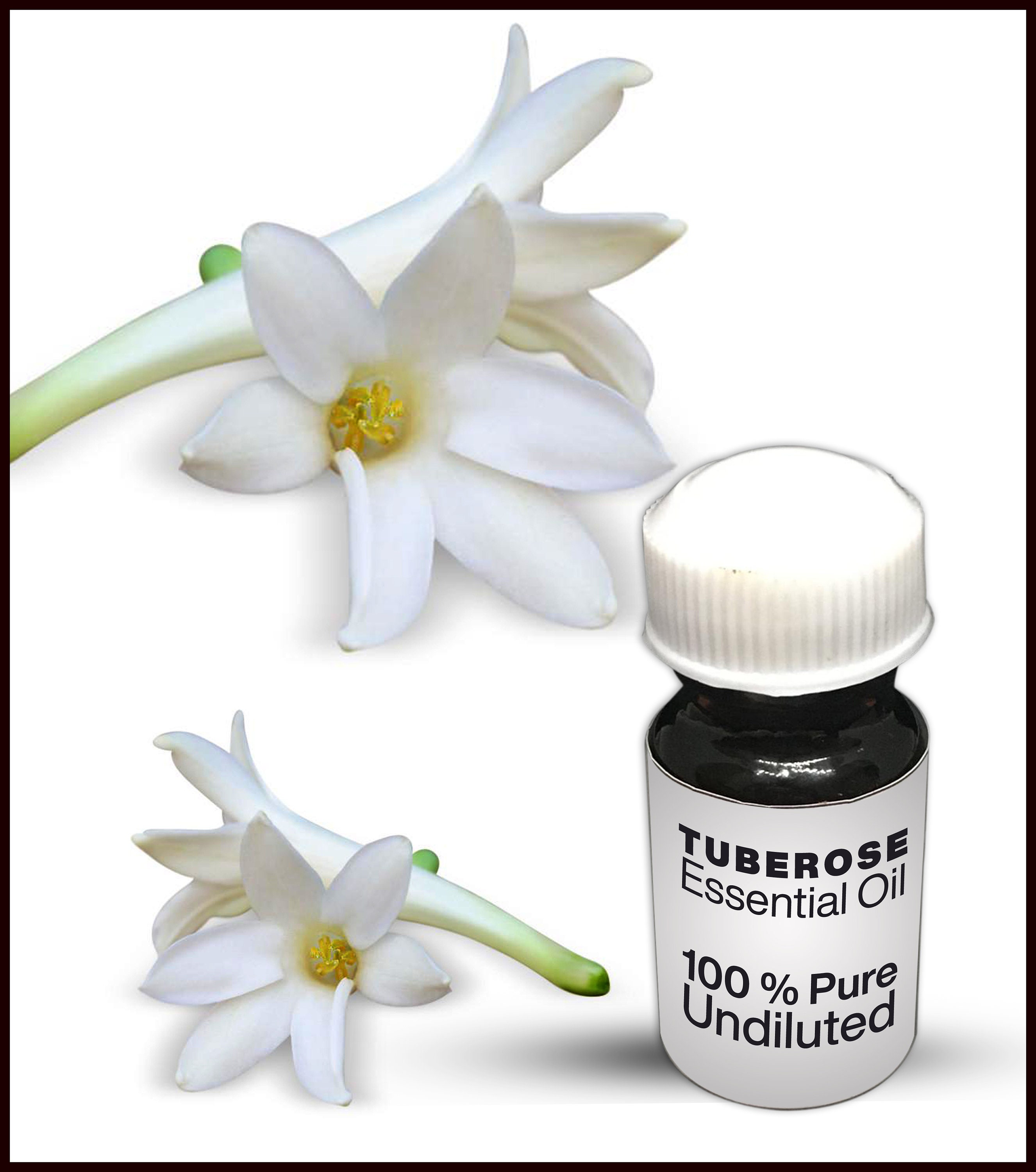 Natural Tuberose Oil / 100% Pure Tuberose Essential Oil Premium High  Quality 10ML 500ML 