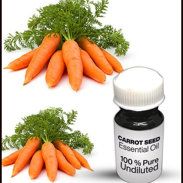 Natural Carrot Seed Oil / 100% Pure Carrot Seed Essential Oil Premium High Quality (10ML - 500ML)