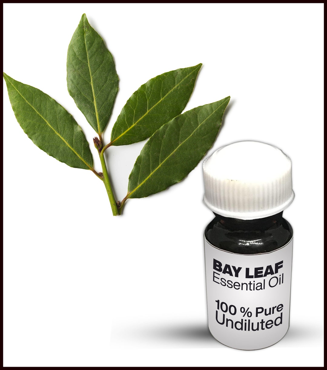 Natural Bay Leaf Oil / 100 Pure Bay Leaf Essential Oil Premium High Quality 10ML 500ML Etsy