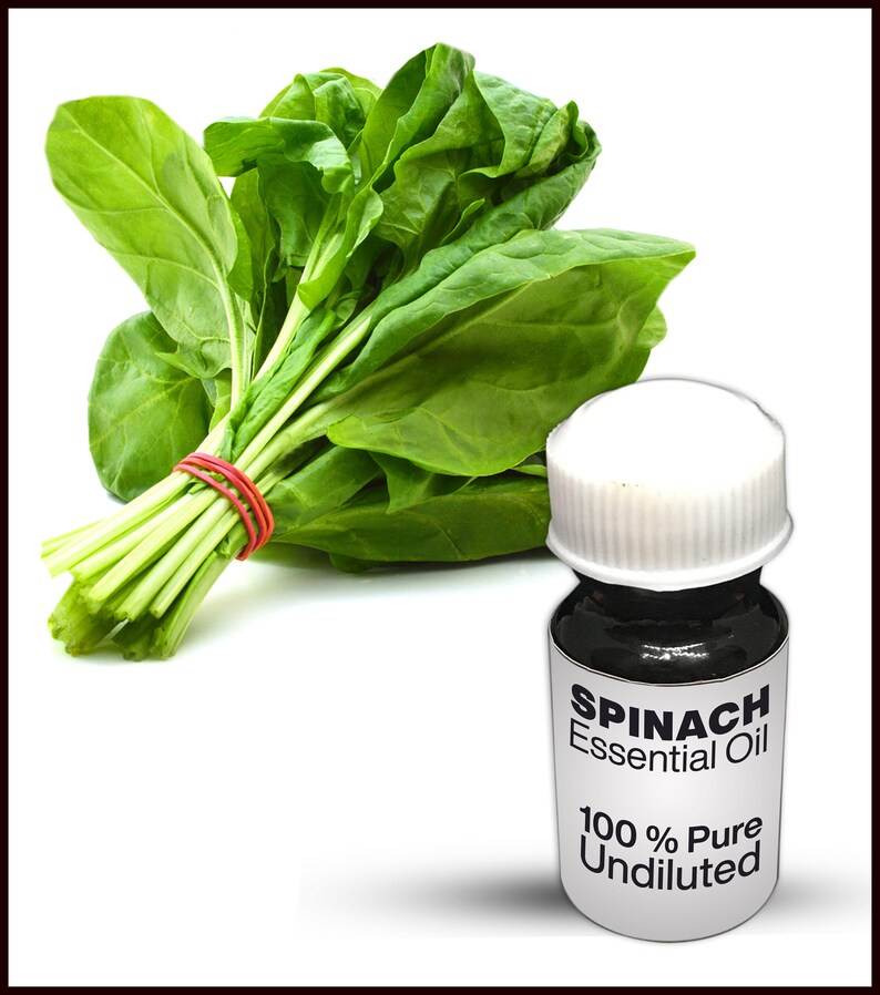 Natural Spinach Oil / 100 Pure Spinach Essential Oil Premium Etsy