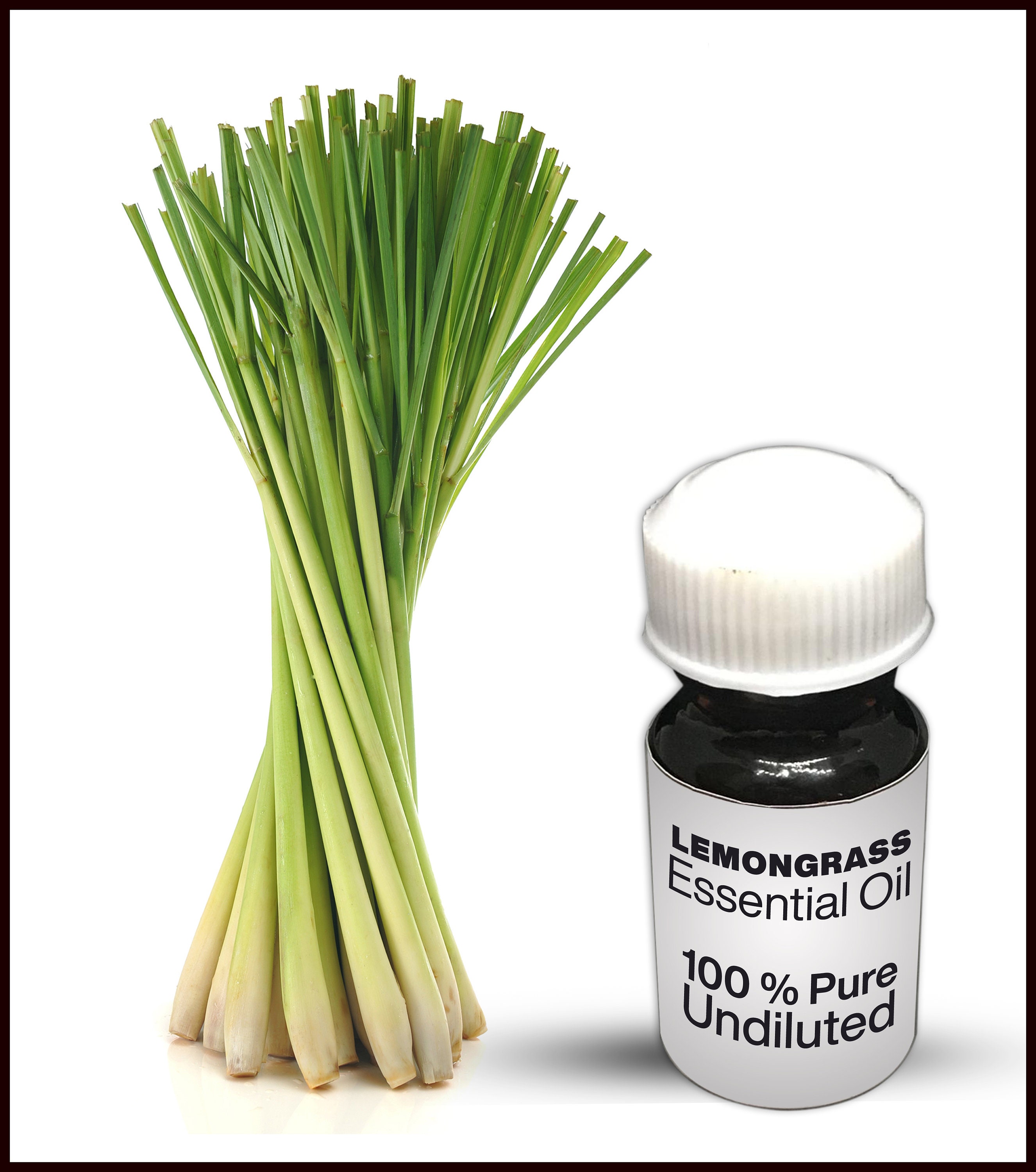Lemongrass Essential Oil / 100 Pure Lemongrass Essential Oil Etsy UK