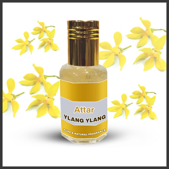 Ylang ylang cologne new arrivals