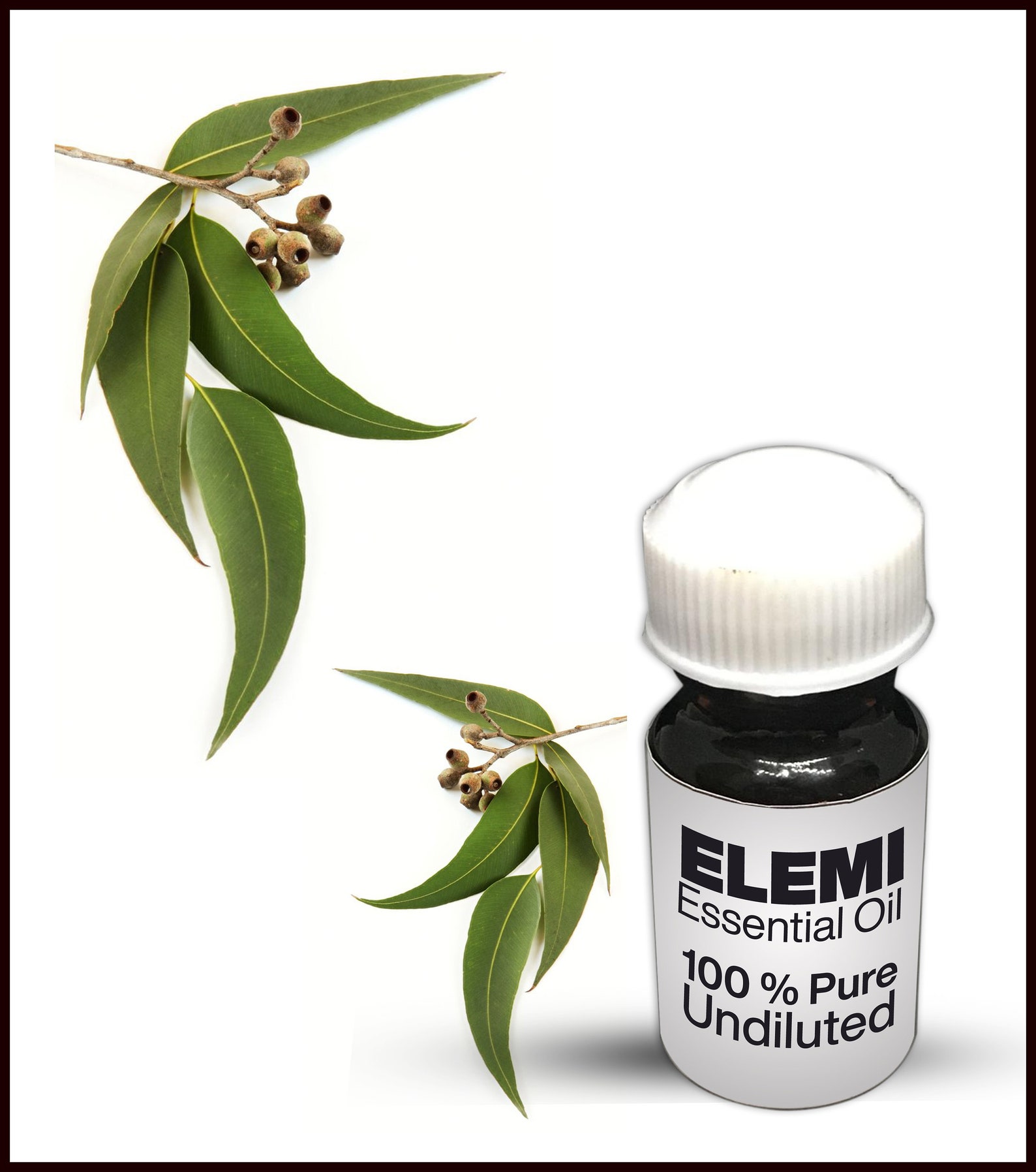 Natural Elemi Oil / 100% Pure Elemi Essential Oil Premium High - Etsy UK