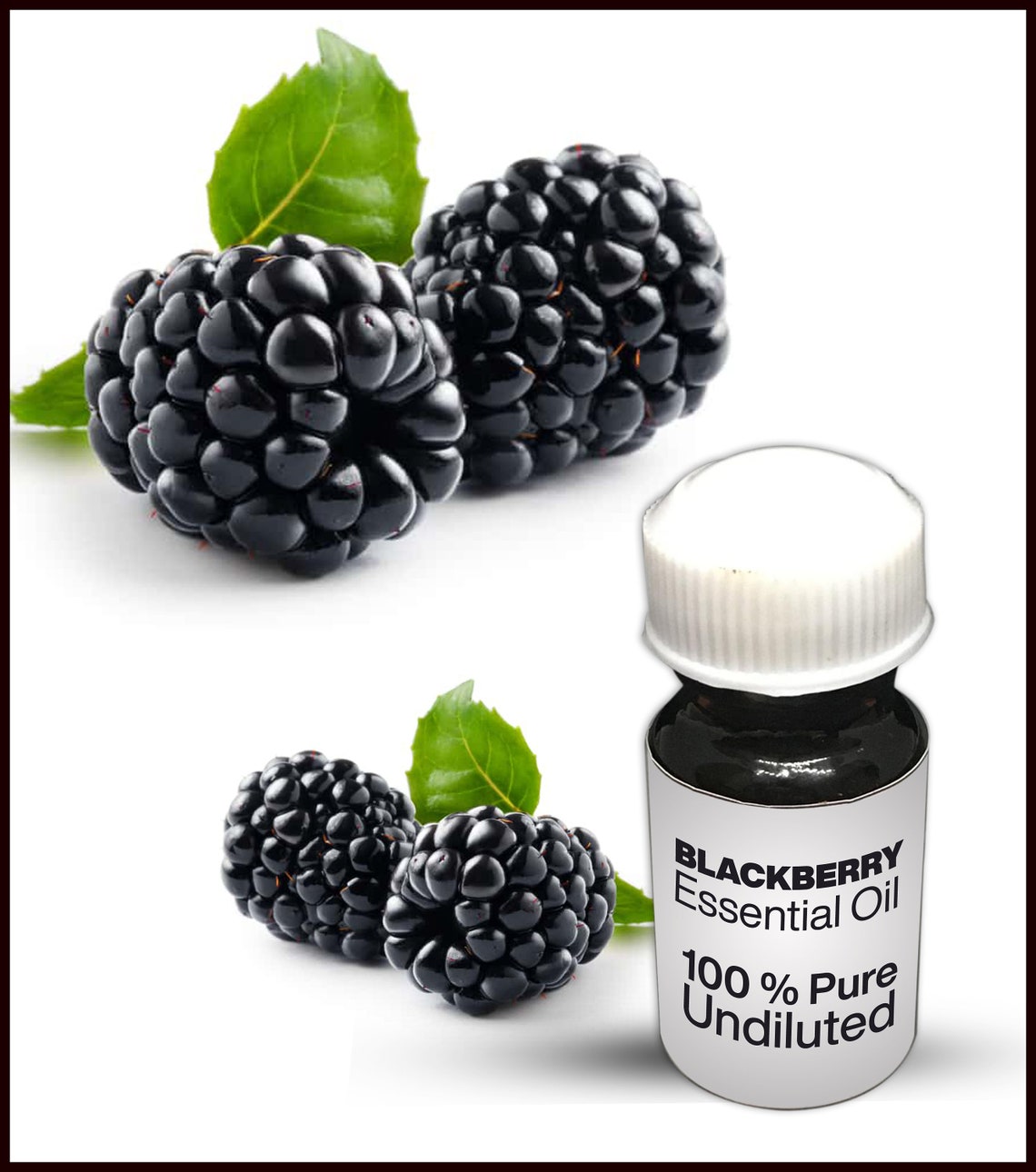 Natural Blackberry Oil / 100 Pure Blackberry Essential Oil Premium