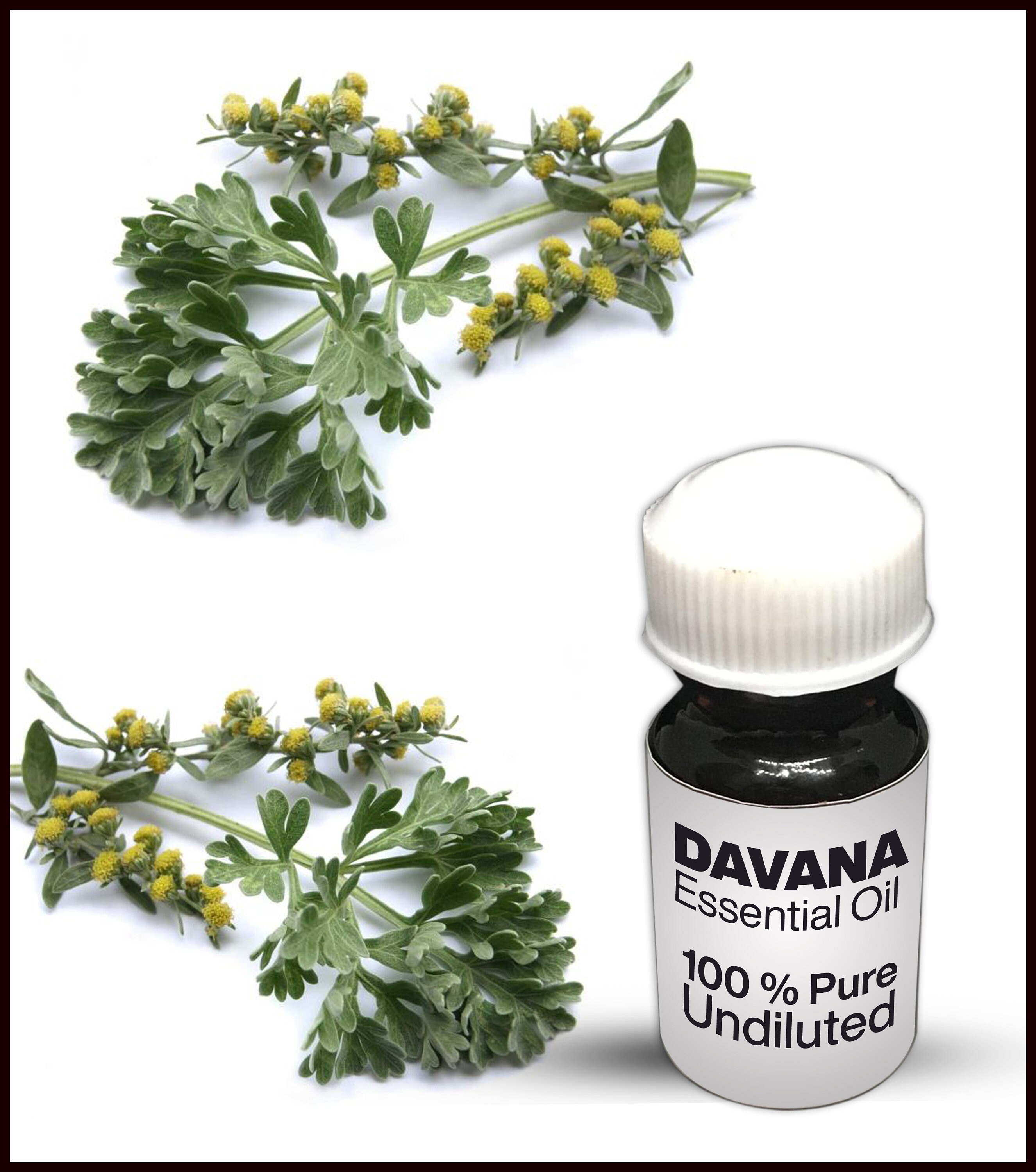 Davana cheap essential oil