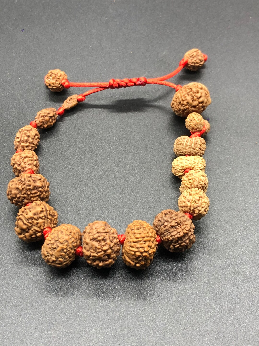 Master Gul Raksh 1 to 14 Mukhi Rudraksha Gauri Shankar Ganesha Rudraksh - Etsy