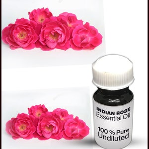 Indian Rose Fragrance Oil
