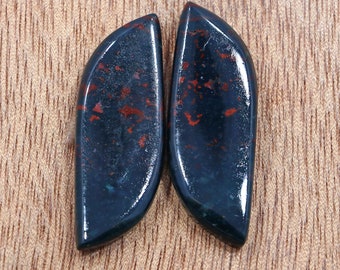 13*37 MM Fancy Cut Bloodstone Pair Of Earrings/ 37.75 Ct Heliotrope Gemstone Pair Of Earrings/ Dragon Bloodstone Pair/ Gift For Her