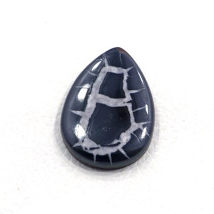 Puede incluir: Un cabujón de forma de lágrima negro y blanco con un patrón dendrítico. La piedra está pulida y tiene un acabado brillante.
