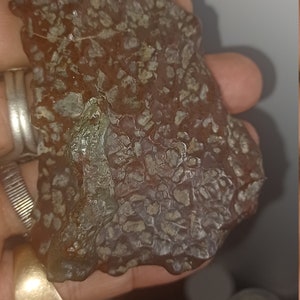 Pode incluir: Um close-up de uma rocha de cor cinza escura, de forma irregular, com uma superfície áspera e texturizada. A rocha tem um aspecto salpicado com pequenas manchas brancas e marrons por toda a sua superfície.