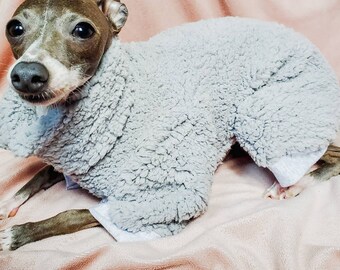 Italian greyhound | Etsy Italian greyhound | Etsy