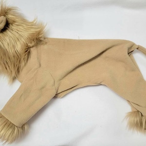 Custom Italian Greyhound Lion Outfit