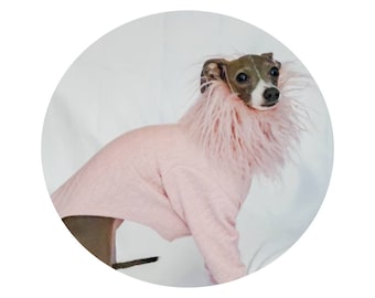 Luxury Italian Greyhound Outfit