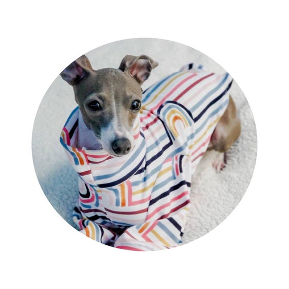 Custom greyhound pajamas hot sale