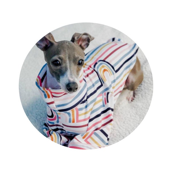 Custom Italian Greyhound Cotton Knit PJS