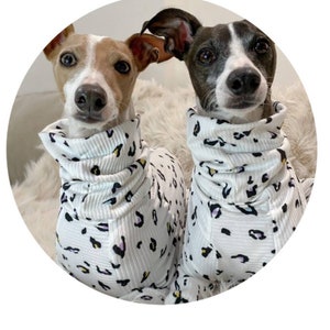 Italian greyhound Rib Knit Pjs