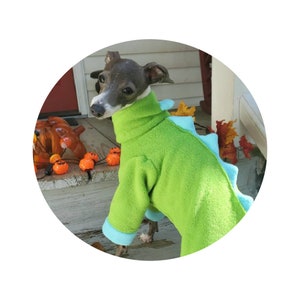 Custom Italian Greyhound Rawrsome Fleece PJS