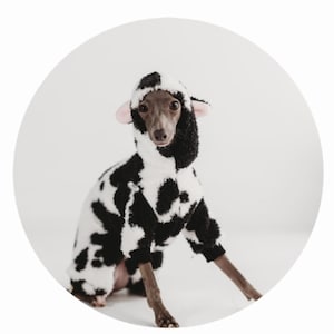 カスタムフェイクシェルパイタリアングレーハウンドアニマルパーカー