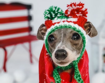 Italian Greyhound and Small Dog/Cat pompom hats