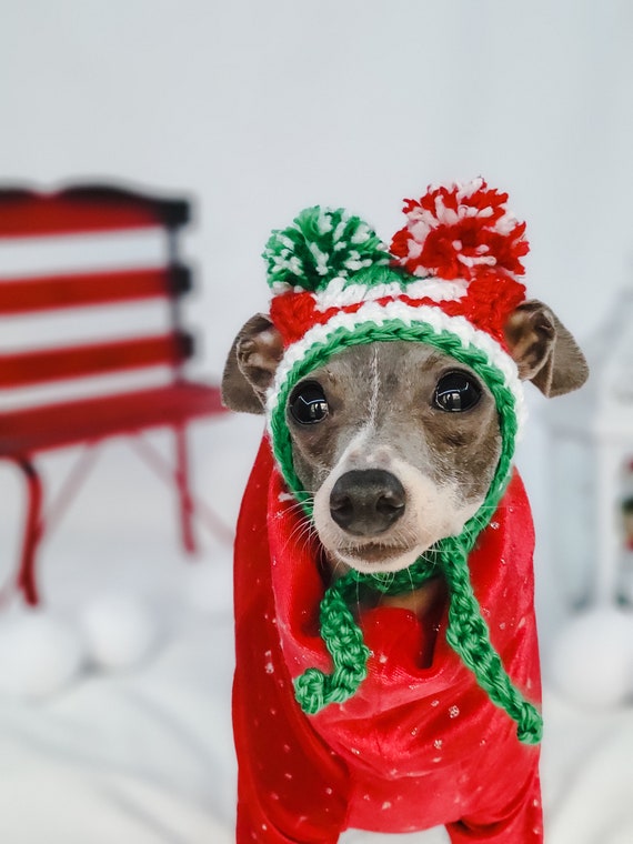 Italian Greyhound and Small Dog/Cat pompom hats