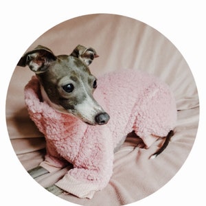 Custom Faux Sherpa Italian Greyhound Outfits