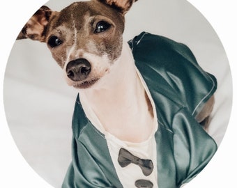 Custom Italian Greyhound Tuxedos