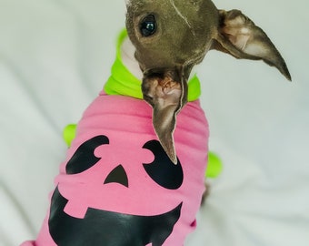 Custom Pumpkin Italian Greyhound Vest