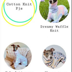 Custom Italian Greyhound Cotton Knit PJS image 3