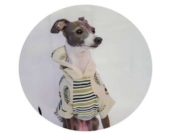 Lente- en zomerhoodies