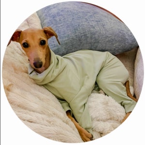 Custom Italian Greyhound Solid Knit PJS
