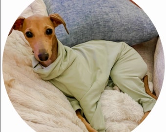 Custom Italian Greyhound Solid Knit PJS