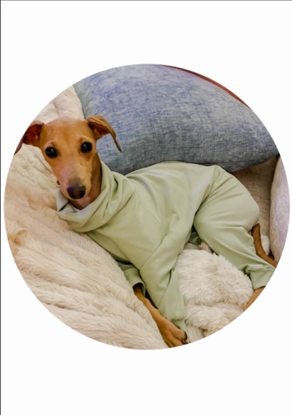 Custom Italian Greyhound Solid Knit PJS