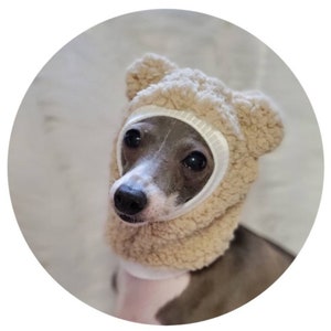 May include: A small, grey and white dog wearing a beige, fuzzy, bear-shaped hat with large, floppy ears.