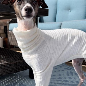 Custom Italian Greyhound Cotton Knit PJS image 8