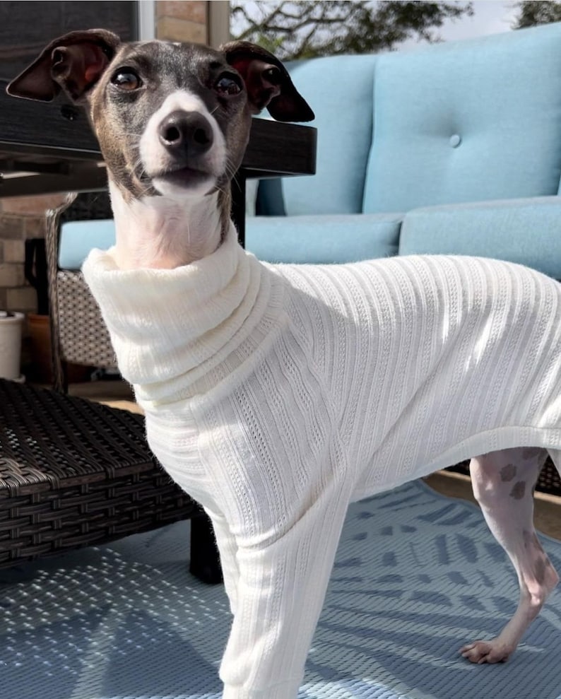 Custom Italian Greyhound Cotton Knit PJS image 8