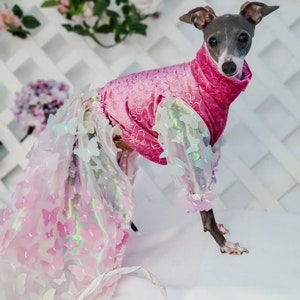 Custom Special Occasion Italian Greyhound Dresses
