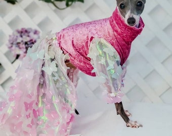 Custom Special Occasion italian greyhound dresses