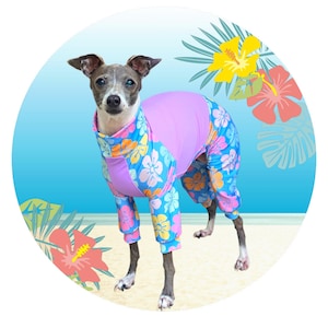 Puede incluir: Un perro con un body de manga larga y cuello alto que presenta una base azul vibrante con un colorido estampado floral de flores rosas, naranjas y amarillas, acentuado por paneles de color lavanda sólido en el pecho y la espalda.