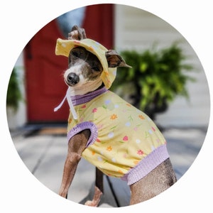 May include: A small, black and tan dog wearing a yellow and purple floral print shirt and a yellow sun hat. The dog is sitting on a wooden surface.