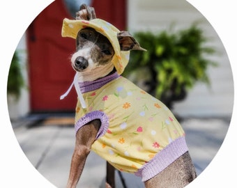 Italian Greyhound Sun Hats & matching Tops